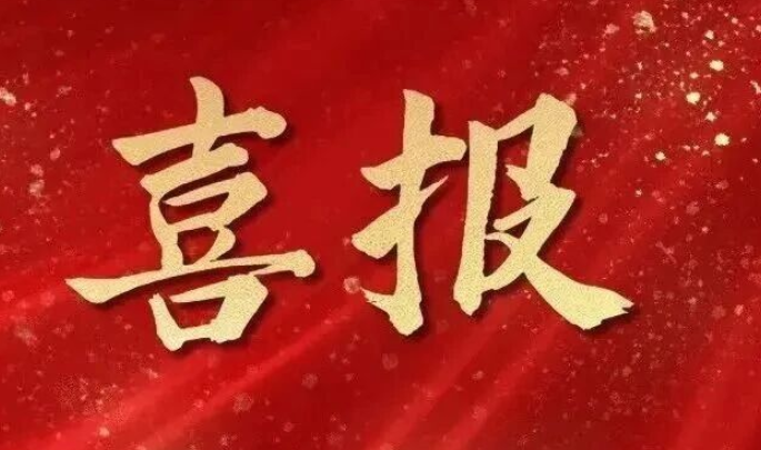 中远公司在山东省首届乡村建设工匠职业技能竞赛中喜获佳绩
