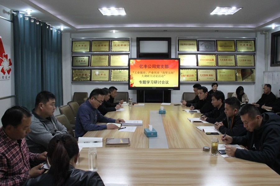 亿丰公司党支部开展“工业强市、产业兴市‘攻坚五问’  大调研大讨论活动”专题研讨会议