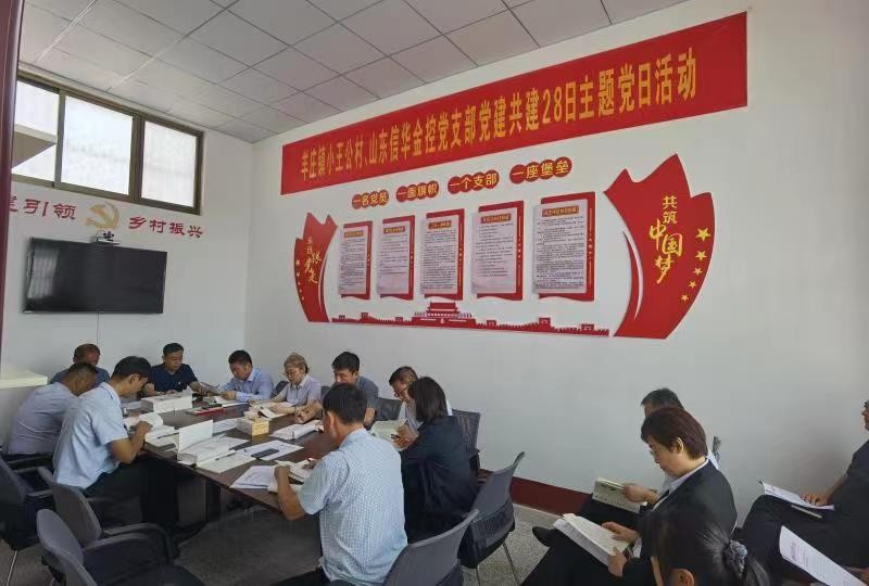 365英国上市金控公司党支部与羊庄镇小王公村党支部开展党建共建活动